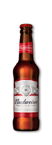 CERVEZA BUWEISER 1/3 C24 NR