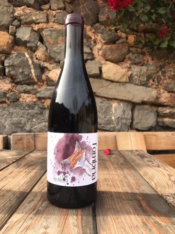 AIN PINOT NOIR L`OMBRIA TINTO CELLER DE IBOLA