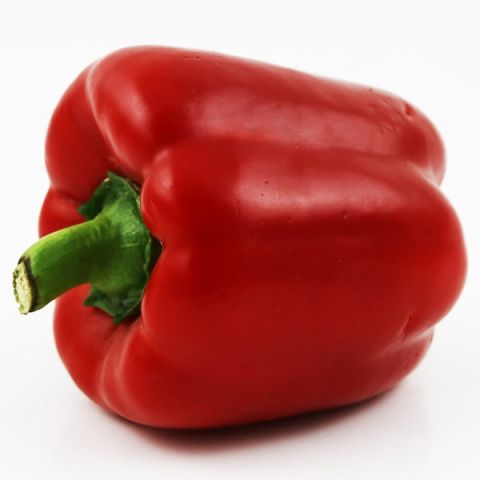 PIMIENTO ROJO