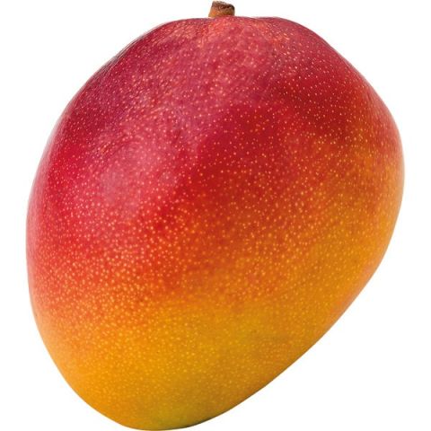 MANGO MARITIMO